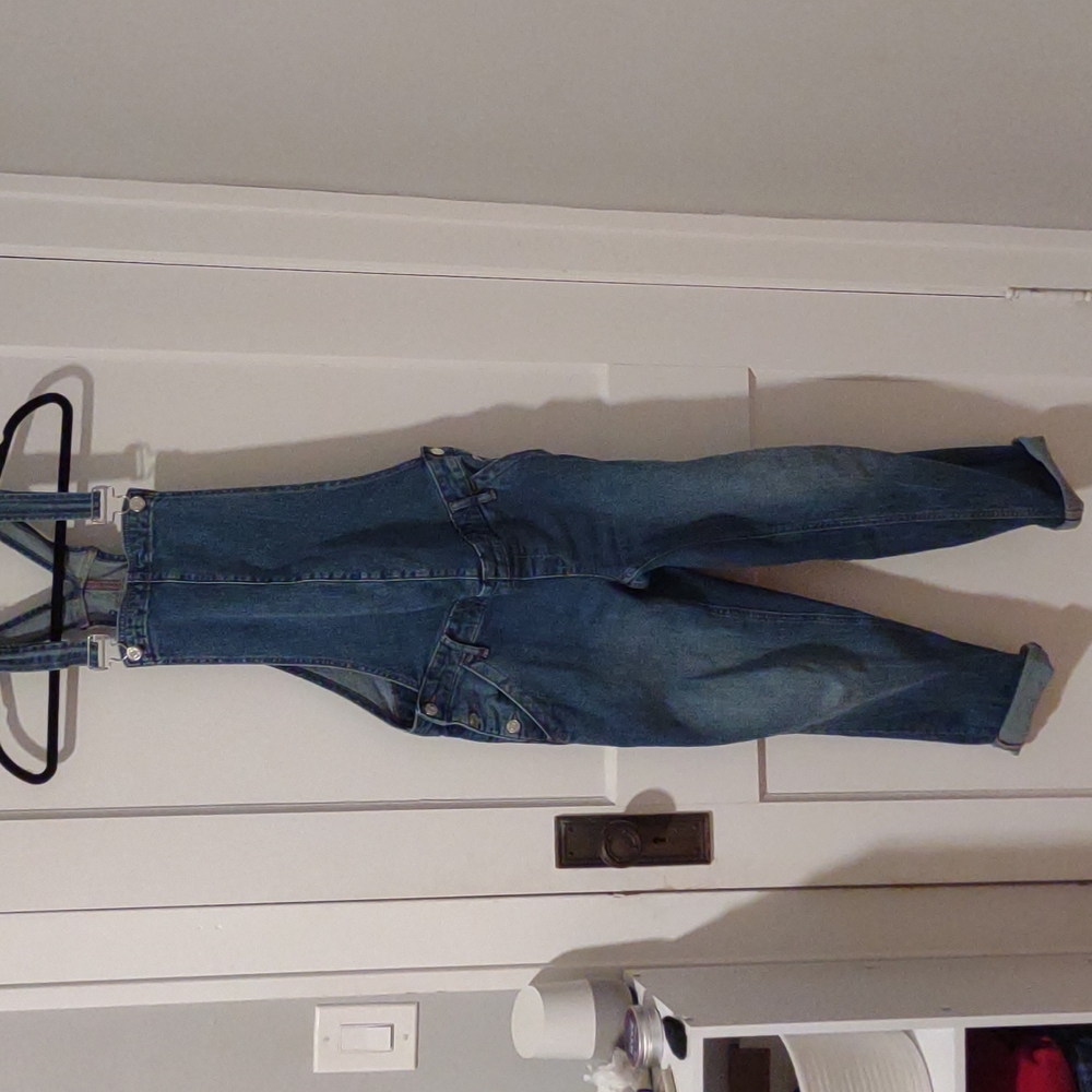 GAP Maternity Overalls